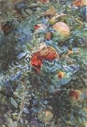 John Singer Sargent Pomegranates (mk18) Sweden oil painting reproduction